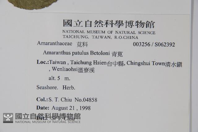 青莧藏品圖，第2張