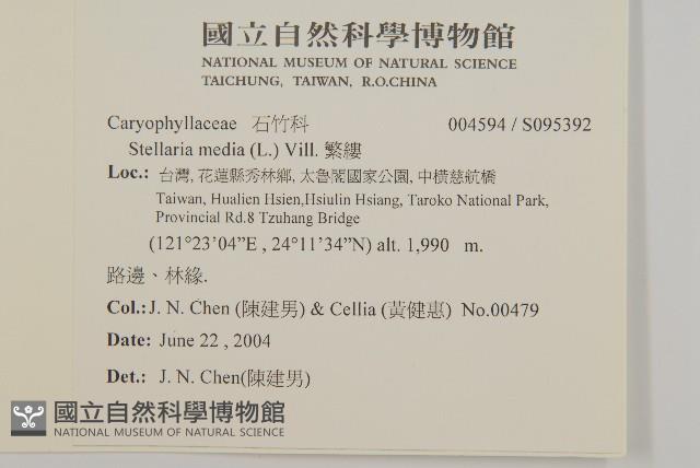 繁縷藏品圖，第2張