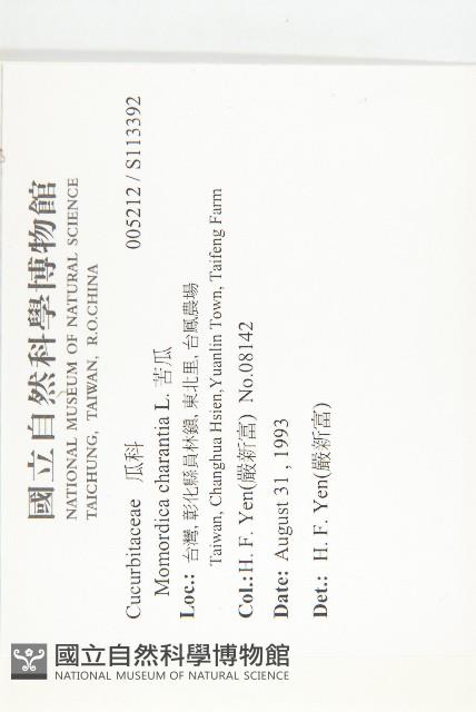 苦瓜藏品圖，第2張