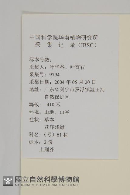 臭杏、土荊芥藏品圖，第2張