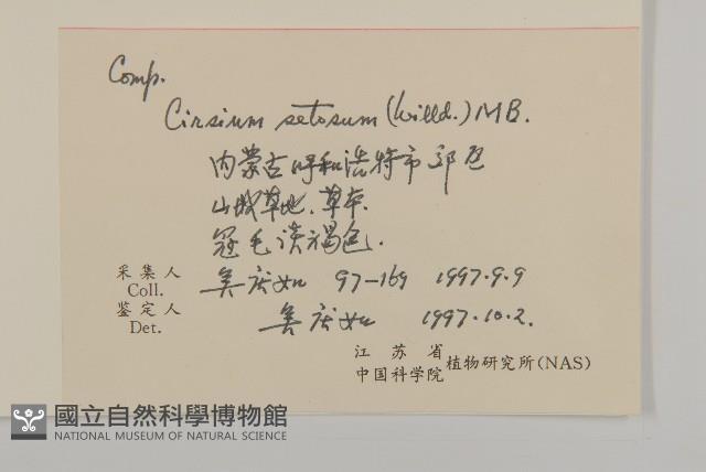 大刺兒菜藏品圖，第2張