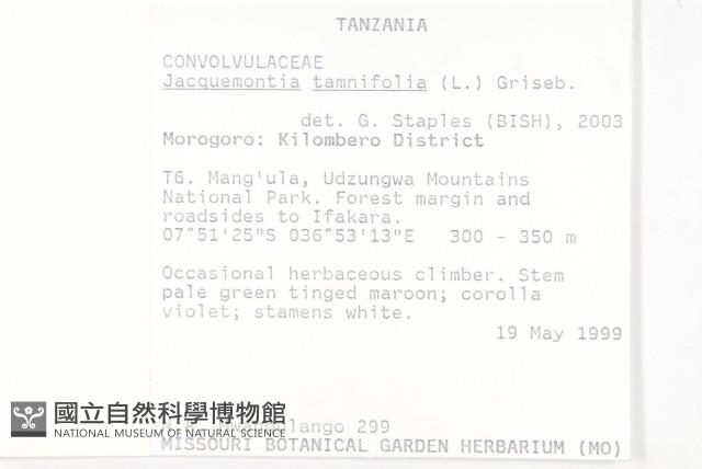 長梗毛娥房藤藏品圖，第2張