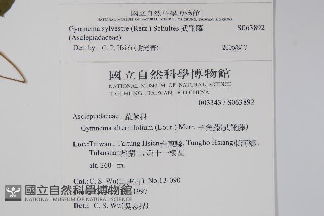 武靴藤藏品圖，第2張