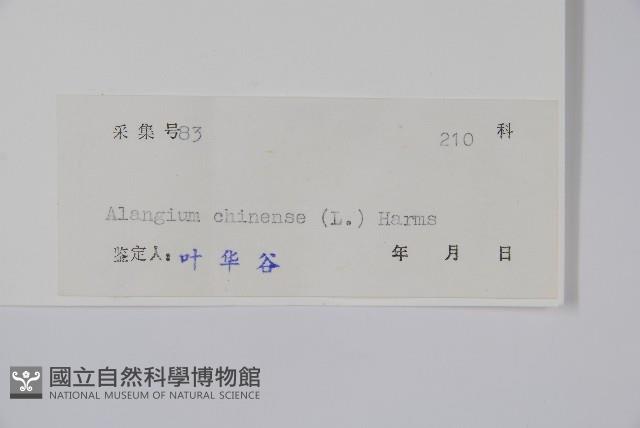 八角楓藏品圖，第2張