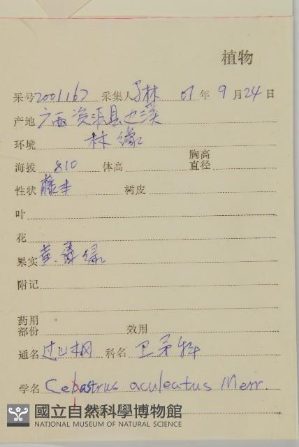 過山楓藏品圖，第2張