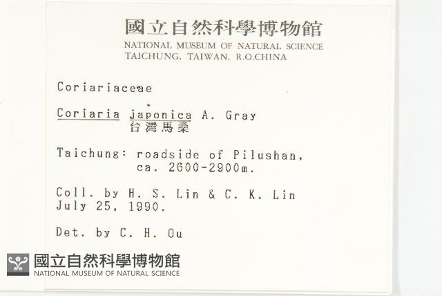 臺灣馬桑藏品圖，第2張