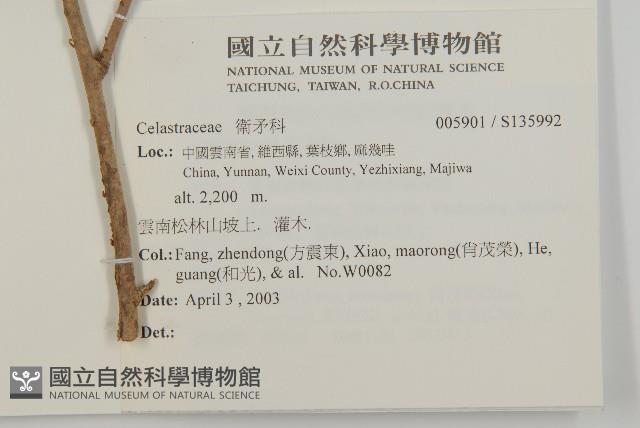 登錄號:S135992藏品圖，第2張