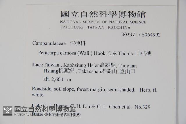 山桔梗藏品圖，第2張