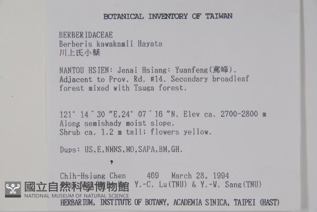 臺灣小蘗藏品圖，第2張