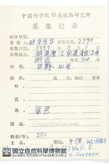 繖花菜欒藤藏品圖，第2張