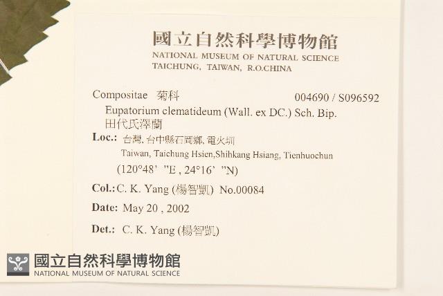 田代氏澤蘭藏品圖，第2張