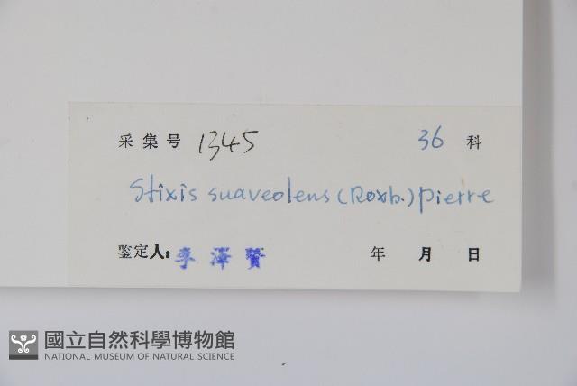 六萼藤藏品圖，第2張