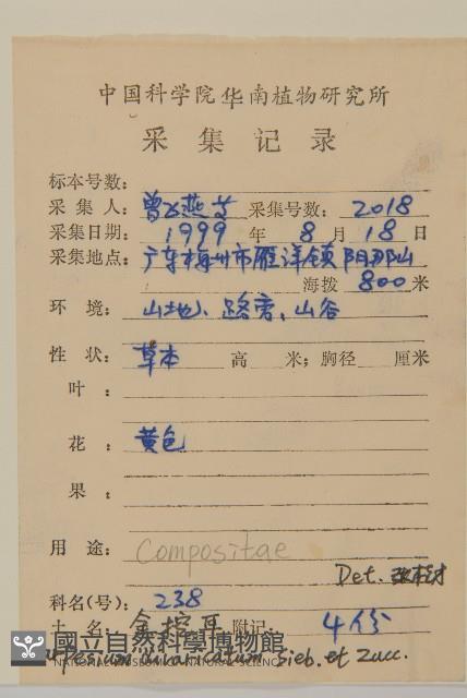 煙管草藏品圖，第2張