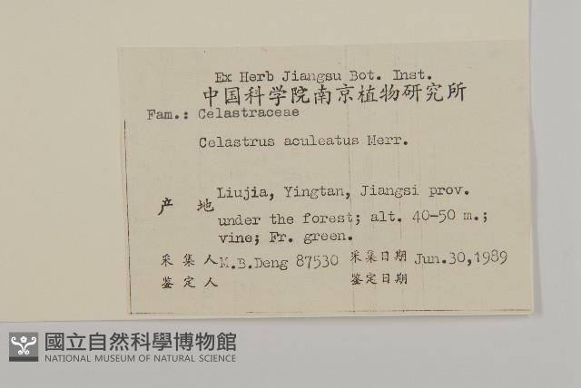 過山楓藏品圖，第2張