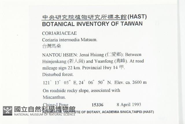 臺灣馬桑藏品圖，第2張