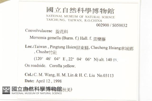 菜欒藤藏品圖，第2張