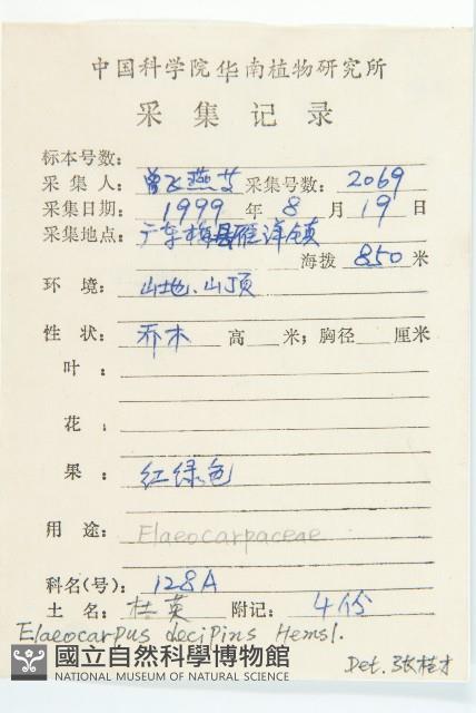 杜英藏品圖，第2張