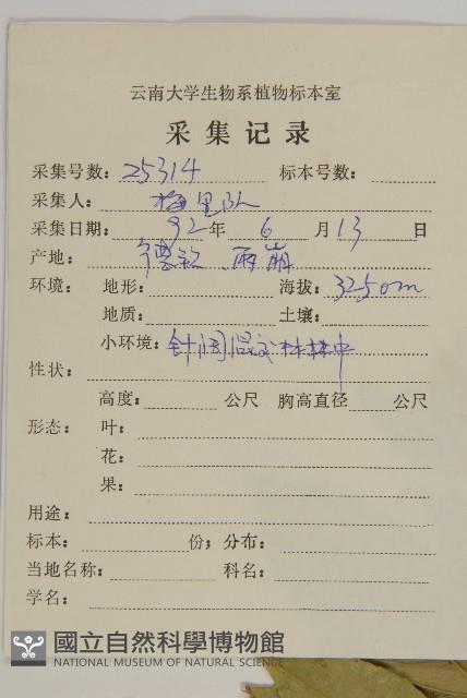 紫花衛矛藏品圖，第2張