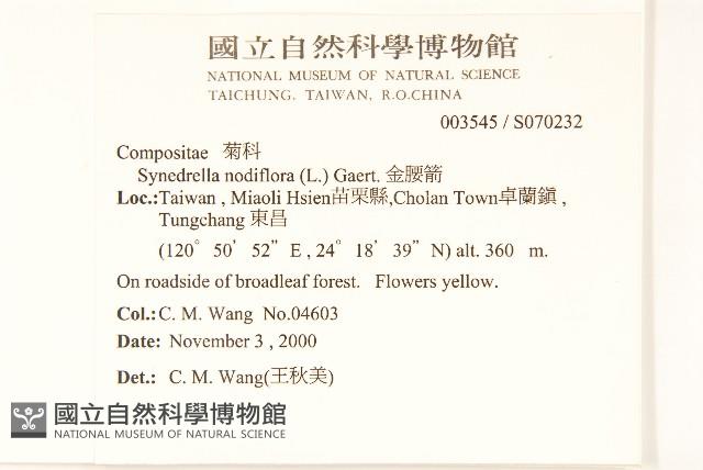 金腰箭藏品圖，第2張