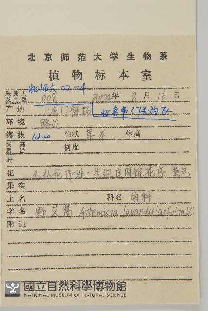 野艾蒿藏品圖，第2張