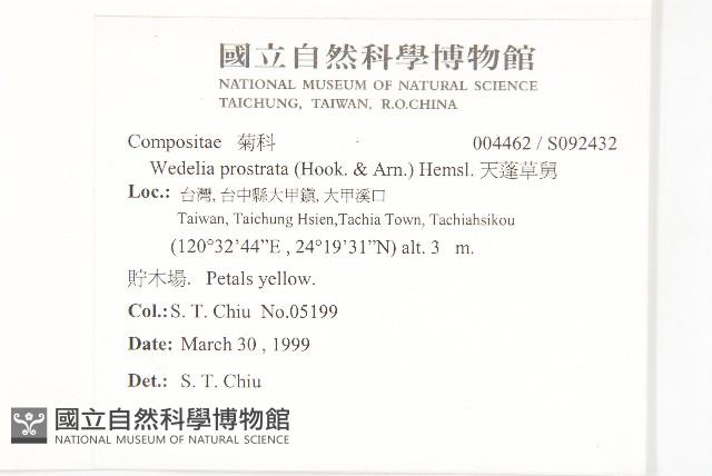 天蓬草舅藏品圖，第2張