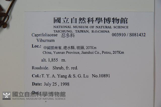 登錄號:S081432藏品圖，第2張