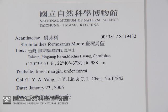 臺灣馬藍藏品圖，第2張