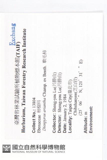 軟毛柿藏品圖，第2張