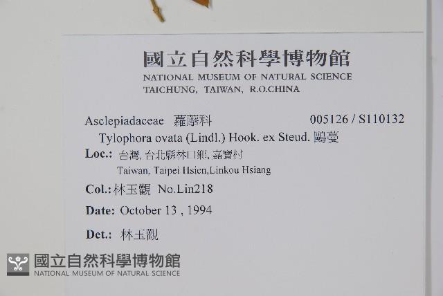 鷗蔓藏品圖，第2張