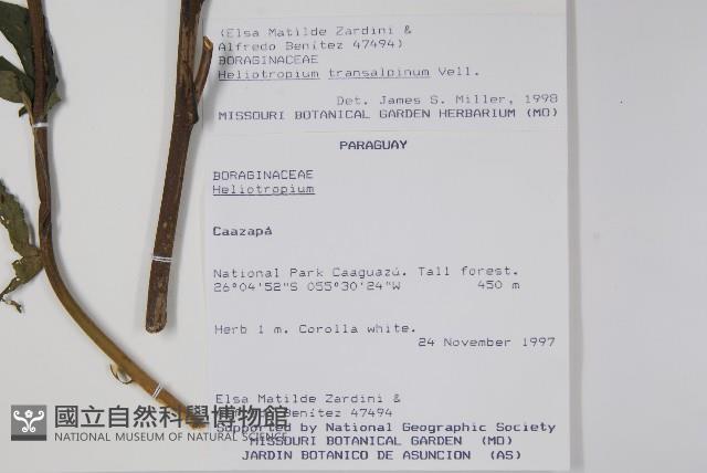 登錄號:S062332藏品圖，第2張