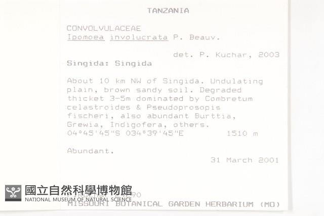 登錄號:S100832藏品圖，第2張