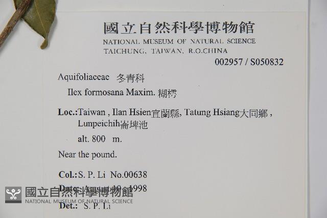 糊樗藏品圖，第2張