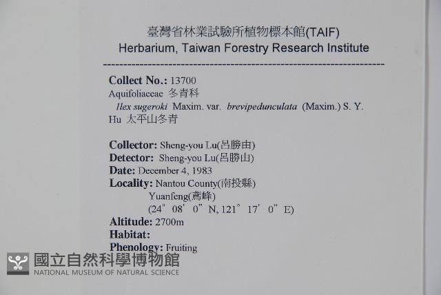 太平山冬青藏品圖，第2張