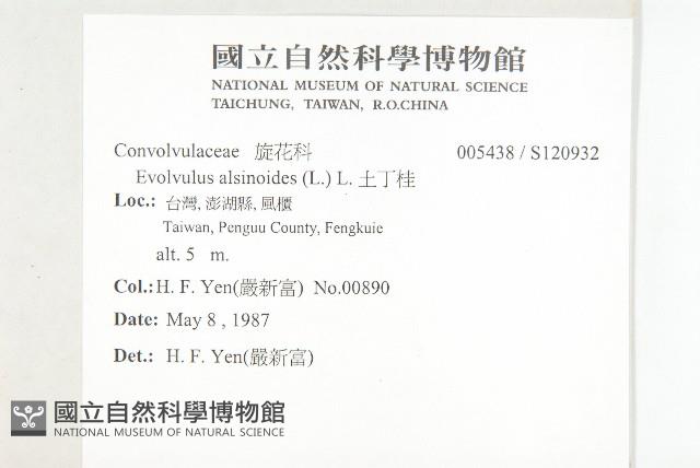 土丁桂藏品圖，第2張