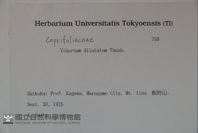 莢迷藏品圖，第2張