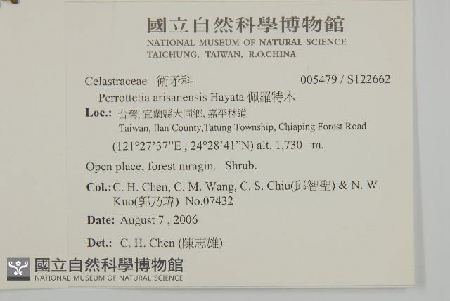 佩羅特木藏品圖，第2張