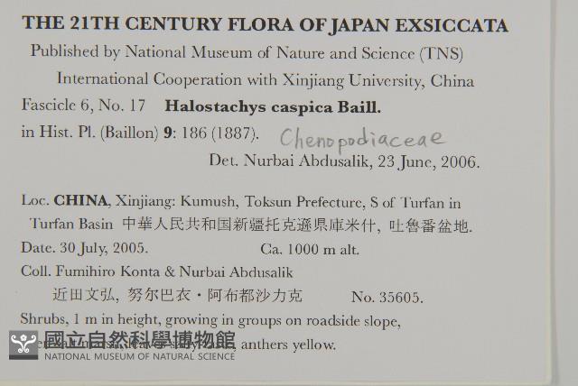 登錄號:S130662藏品圖，第2張