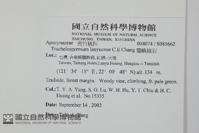 蘭嶼絡石藏品圖，第2張