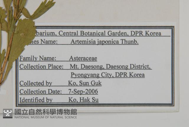 牡蒿藏品圖，第2張