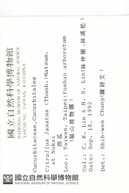 西瓜藏品圖，第2張