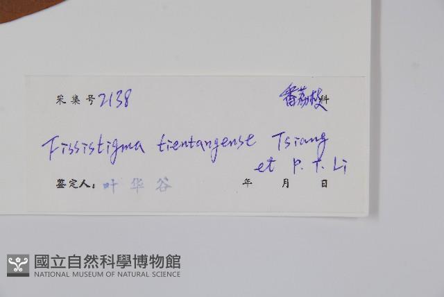 天堂瓜馥藏品圖，第2張