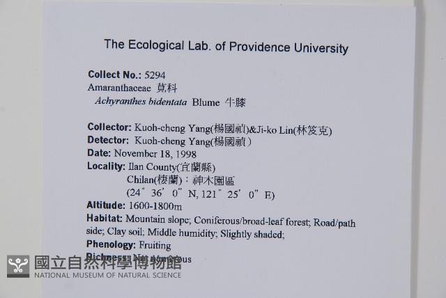 牛膝藏品圖，第2張