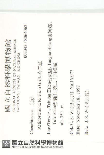 合子草藏品圖，第2張