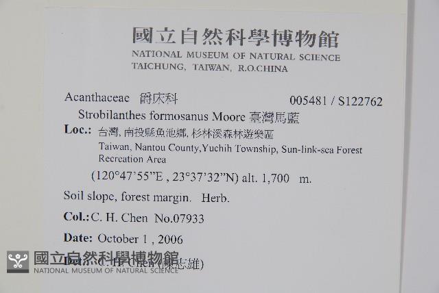 臺灣馬藍藏品圖，第2張