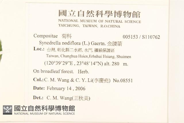 金腰箭藏品圖，第2張