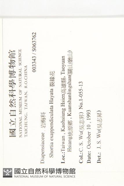 裂緣花藏品圖，第2張