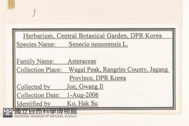 黃菀藏品圖，第2張