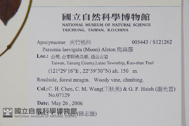 爬森藤藏品圖，第2張