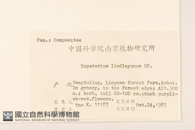 林氏澤蘭藏品圖，第2張