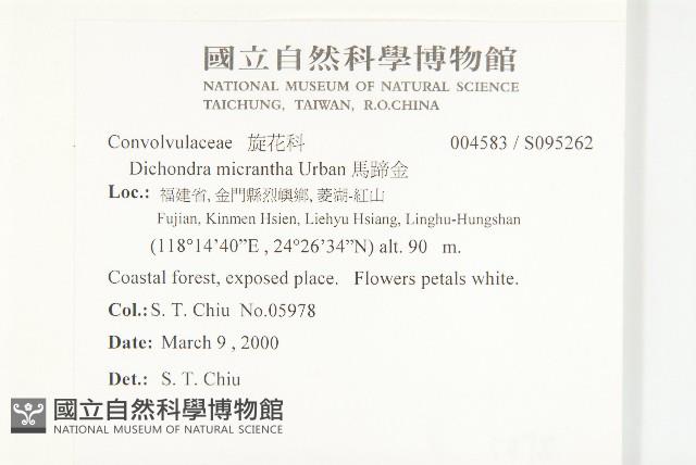 馬蹄金藏品圖，第2張